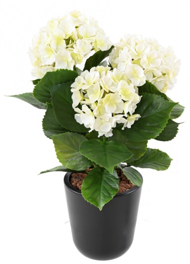 HORTENSIA *3T 45 UV RESISTANT