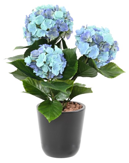 HYDRANGEA *3T 45 UV RESISTANT