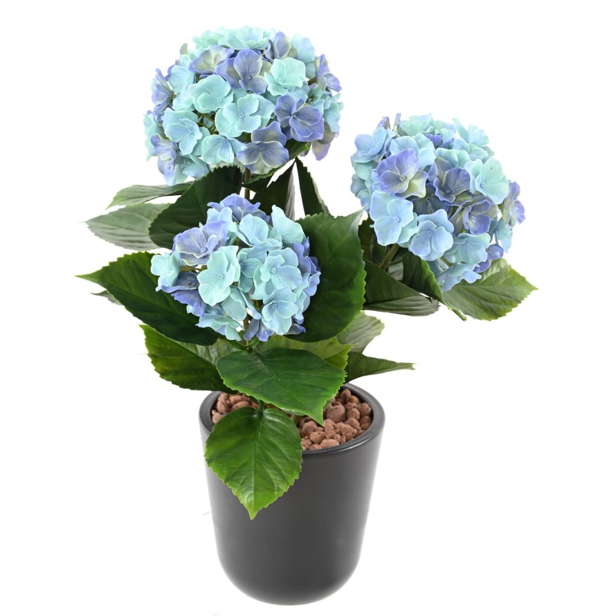 HYDRANGEA *3T 45 UV RESISTANT