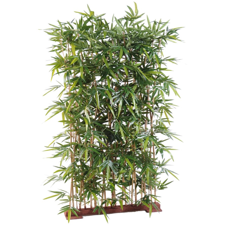 BAMBOO NEW HEDGE UV BASE 75