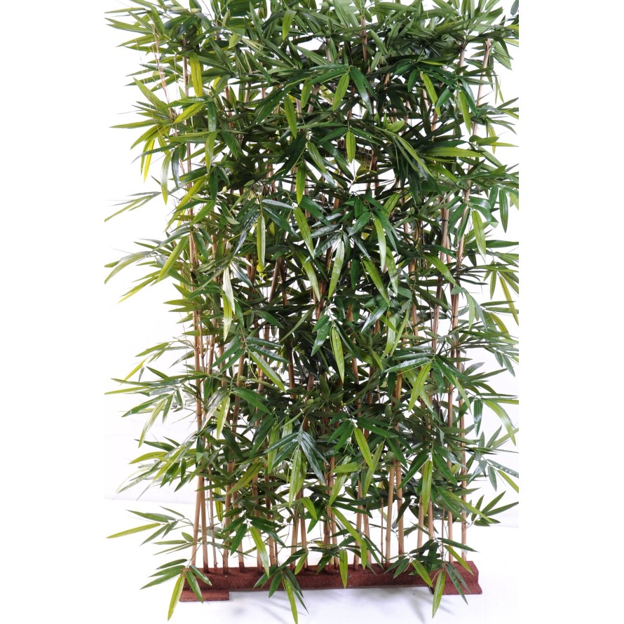 BAMBOO NEW HEDGE UV BASE 75