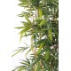 BAMBOO NEW HEDGE UV BASE 75