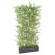 BAMBOO JAPANESE PLAST UV HEDGE BASE 70