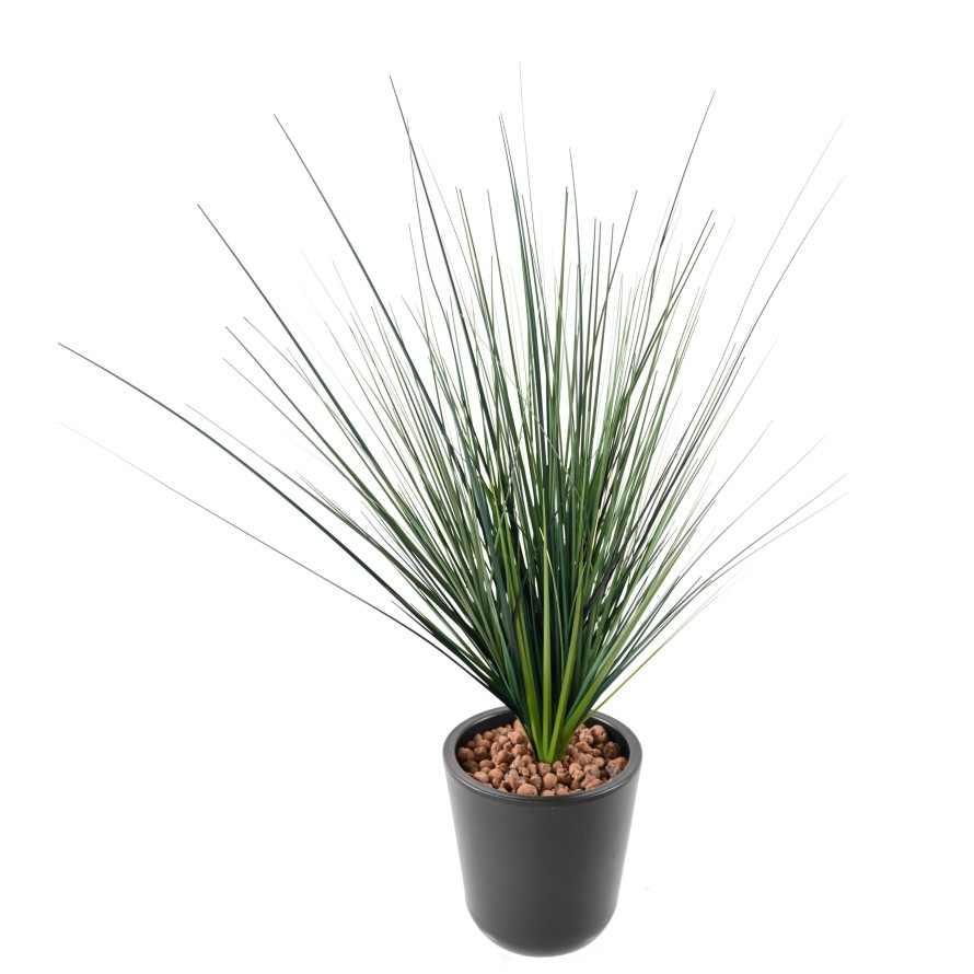 ONION GRASS PIQUET LARGE (promo net)