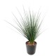 ONION GRASS PIQUET LARGE (net promo)