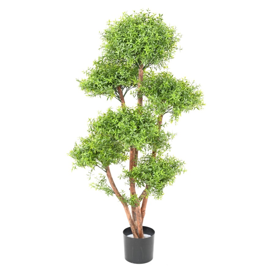 EUCALYPTUS M TREE UV