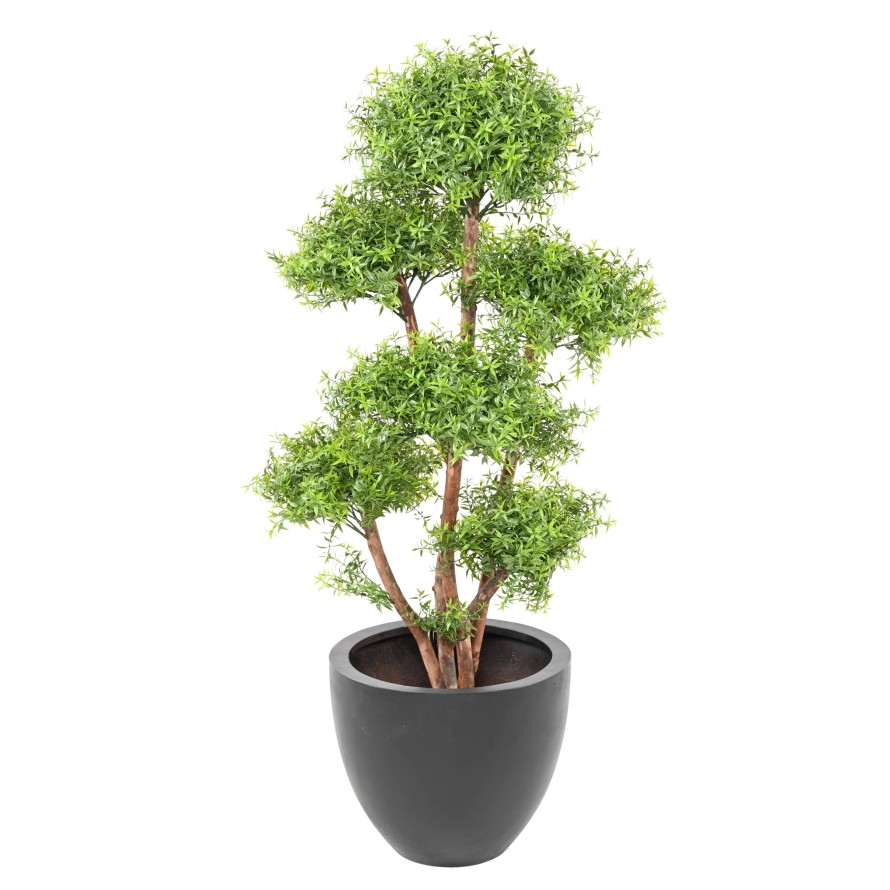 EUCALYPTUS M TREE UV