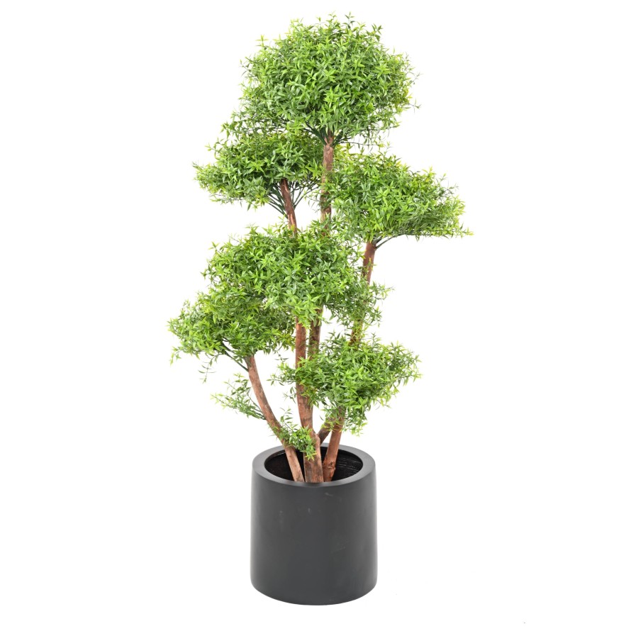 EUCALYPTUS M TREE UV