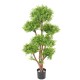 EUCALYPTUS M TREE UV