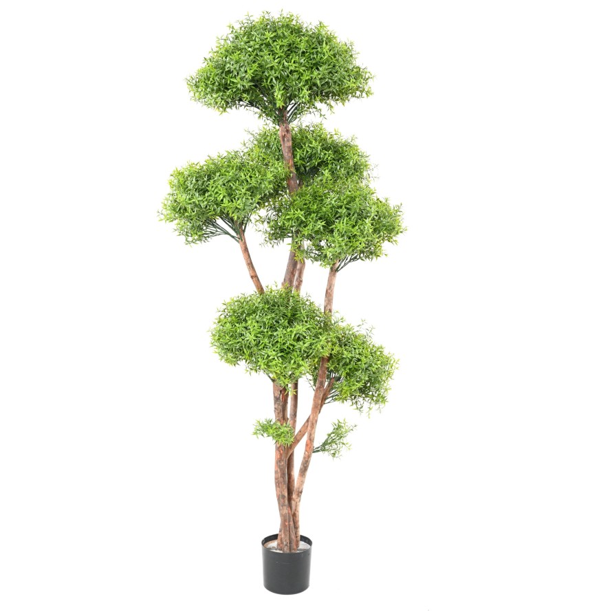 EUCALYPTUS M TREE UV