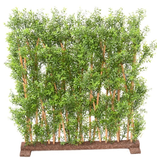 EUCALYPTUS UV HEDGE