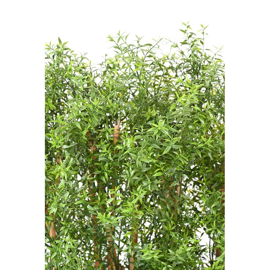 EUCALYPTUS UV HEDGE