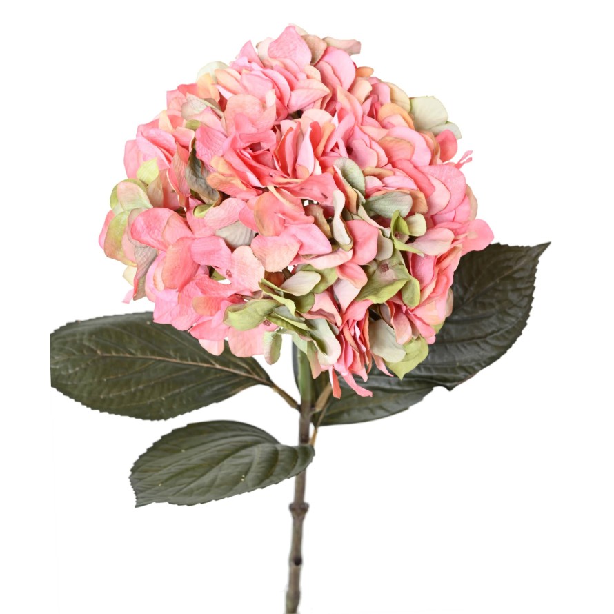 LARGE HYDRANGEA