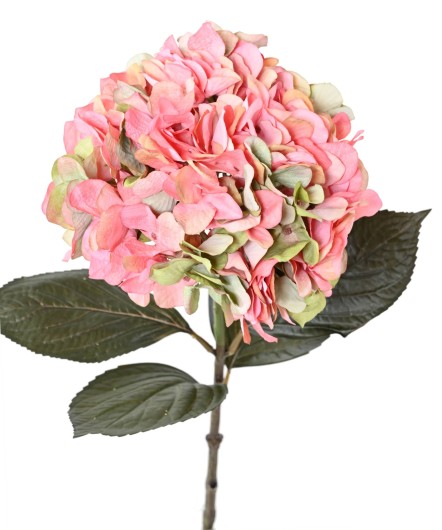 LARGE HYDRANGEA