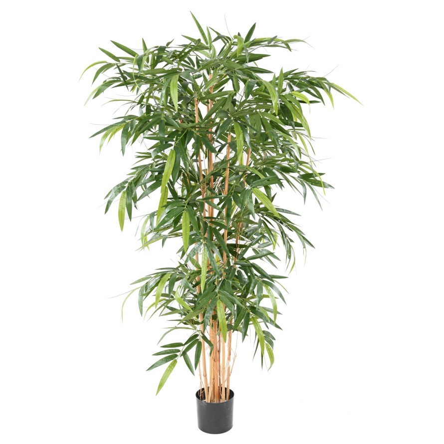 BAMBOO NEW UV RESISTANT