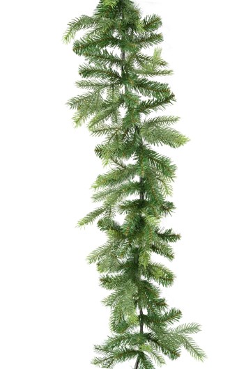 GARLAND FIR GRANDIS