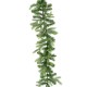 GARLAND FIR GRANDIS