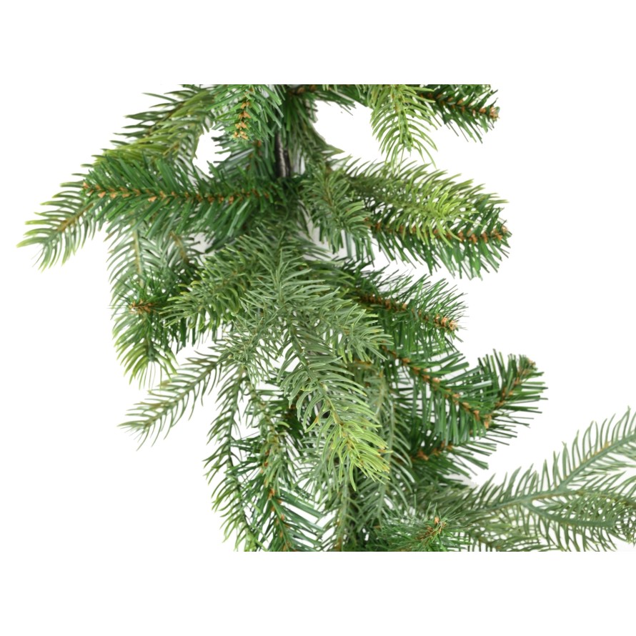 GARLAND FIR GRANDIS