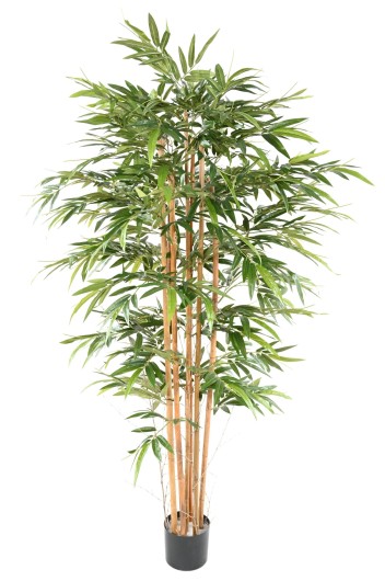 BAMBOO ECO 3 200 CM