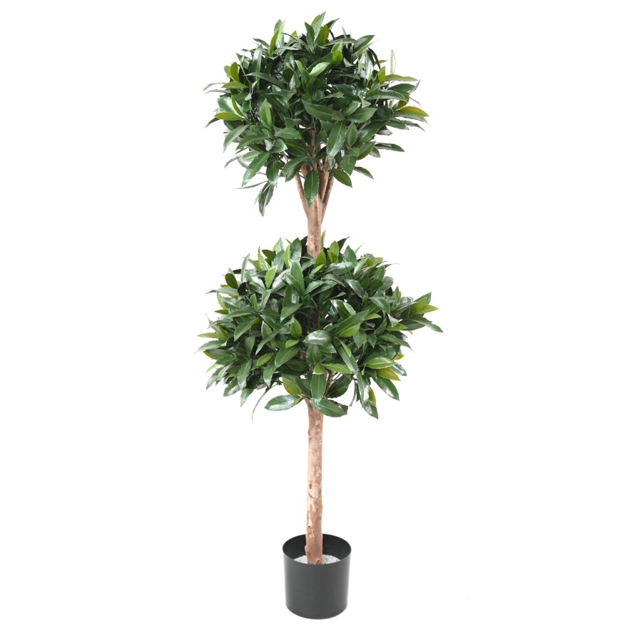 NOBILIS LAUREL NEW DOUBLE BALL 140 UV