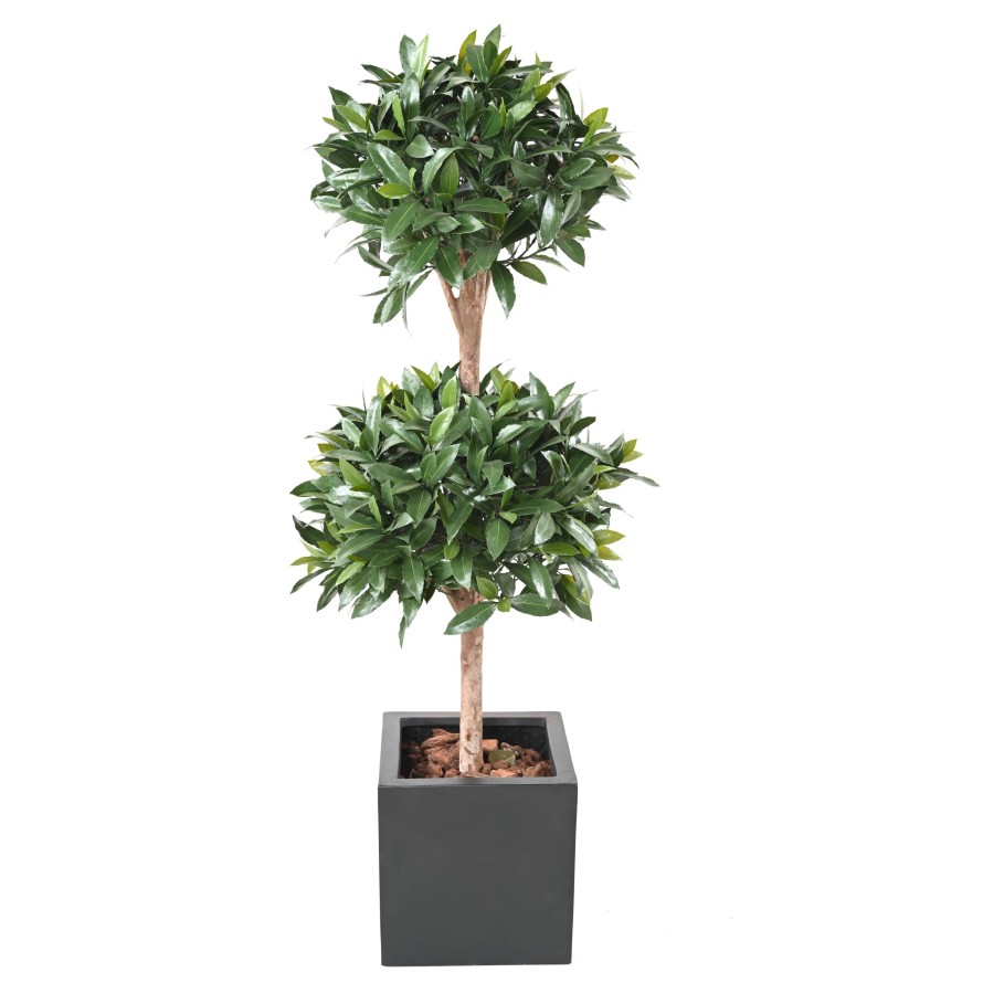 NOBILIS LAUREL NEW DOUBLE BALL 140 UV