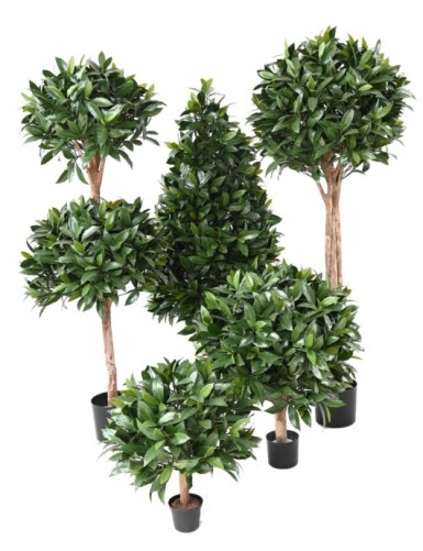 NOBILIS LAUREL NEW DOUBLE BALL 140 UV