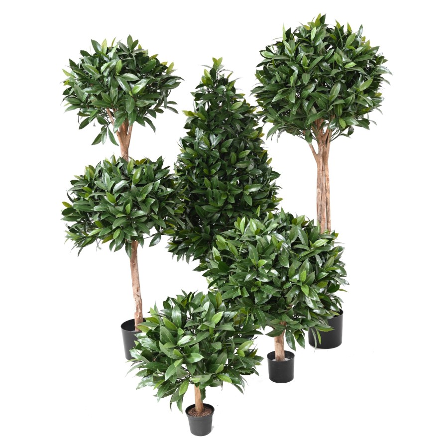 NOBILIS LAUREL NEW DOUBLE BALL 140 UV