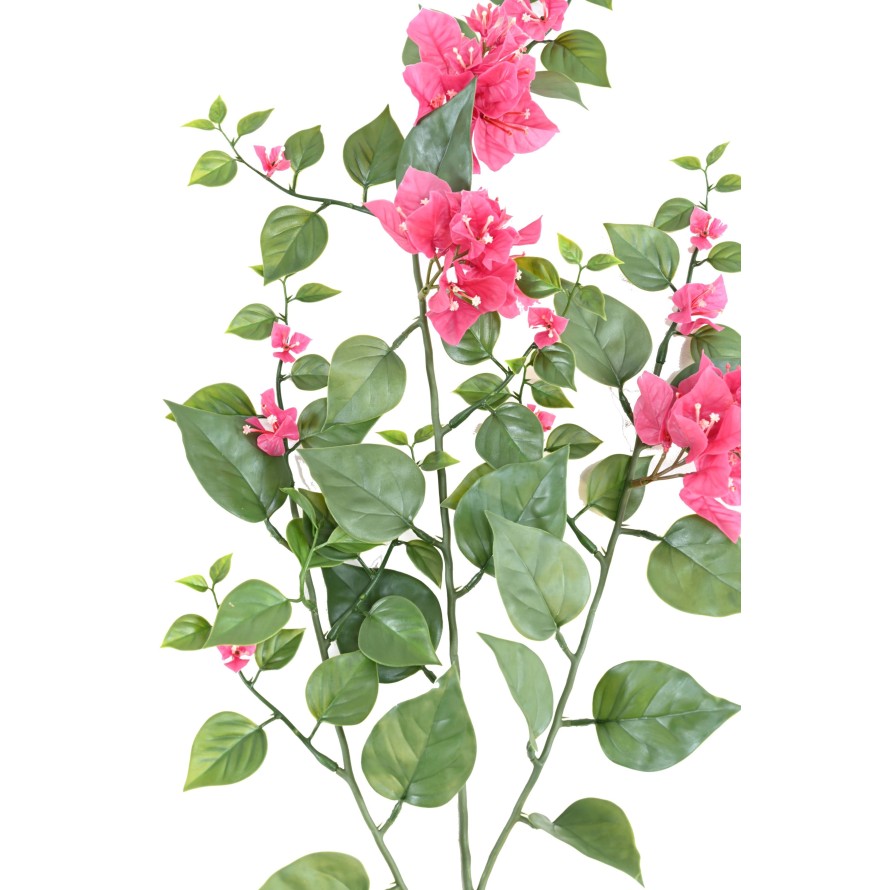 BOUGAINVILLEE LARGE SPRAY 90 UV