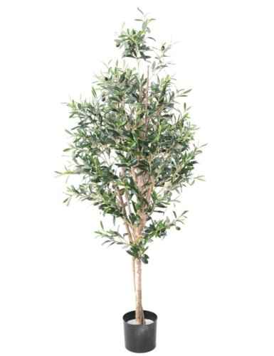 OLIVIER TREE 150