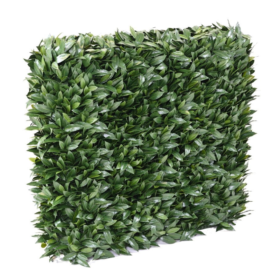 NOBILIS LAUREL NEW UV HEDGE