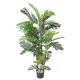 ARECA TREE