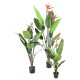 STRELITZIA 10F 2Fl 120