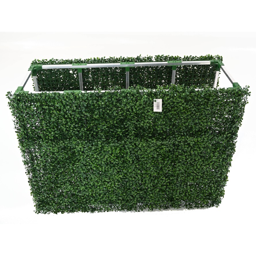 BOXWOOD HEDGE