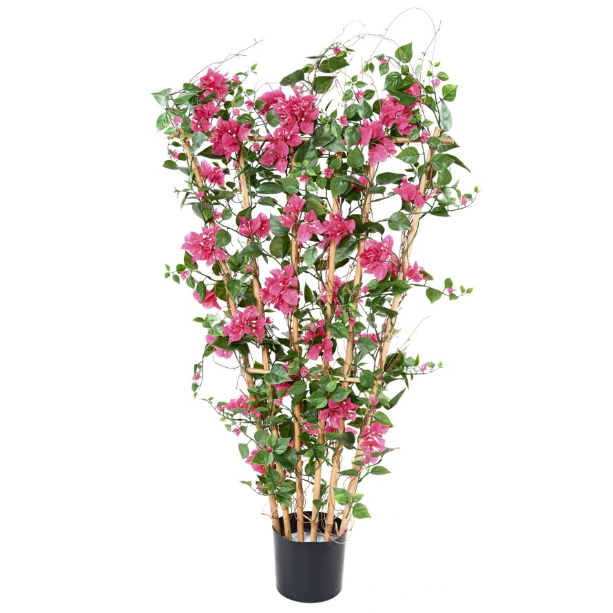 BOUGAINVILLEA LARGE PALISADE UV