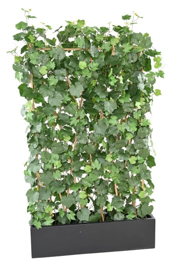 VINE HEDGE PLAST UV RESISTANT