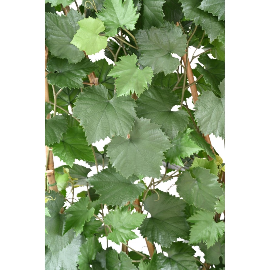 VIGNE HAIE PLAST UV RESISTANT