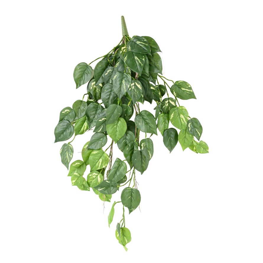 POTHOS CHUTE 95 UV RESISTANT