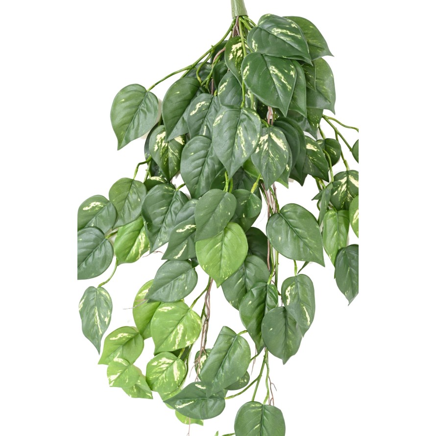 POTHOS CHUTE 95 UV RESISTANT