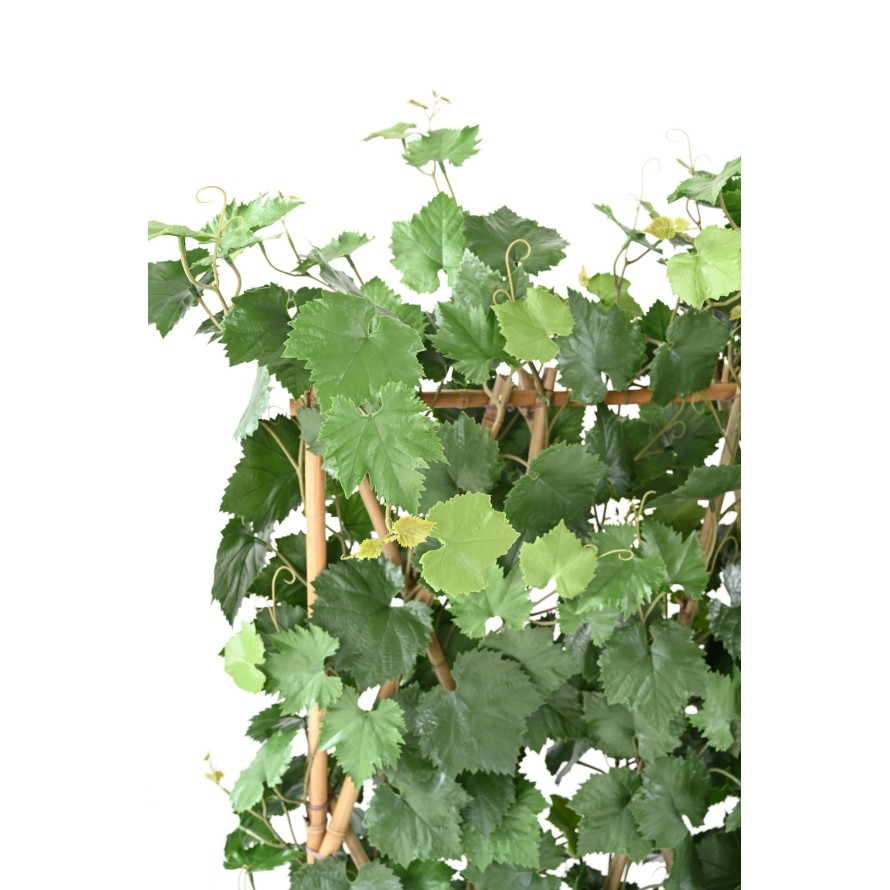 VIGNE HAIE PLAST UV RESISTANT