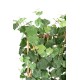 VINE HEDGE PLAST UV RESISTANT