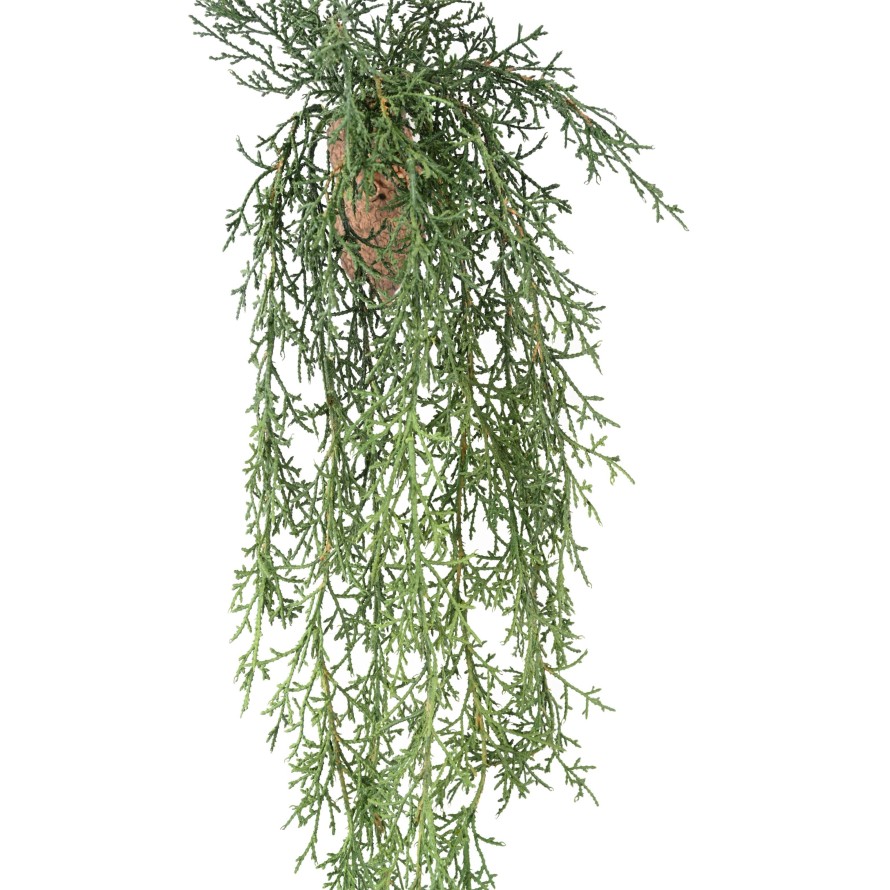 JUNIPERUS CHUTE 75