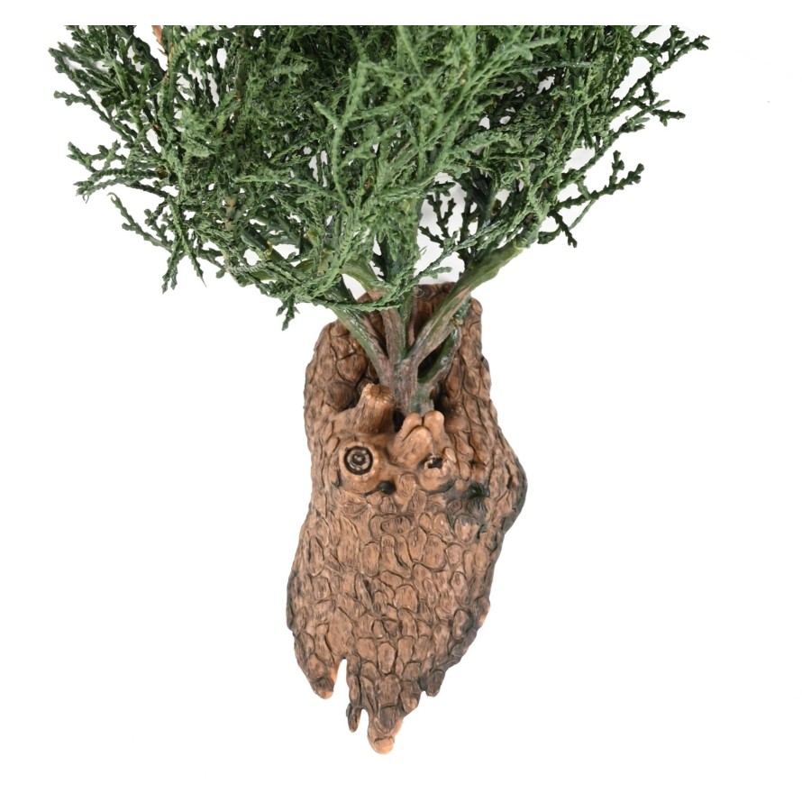 JUNIPERUS CHUTE 75