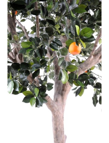 LARGE ORANGE TREE