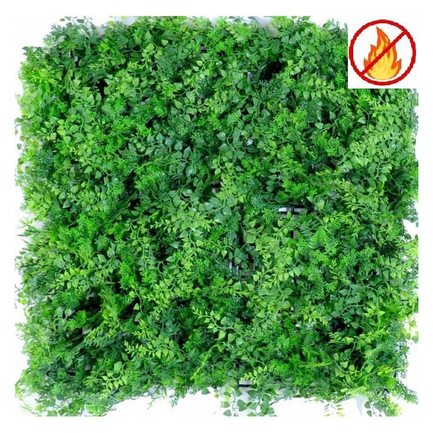 GREEN WALL MIXED FERN BACKGROUND 50*50 FR - Fire Resistant