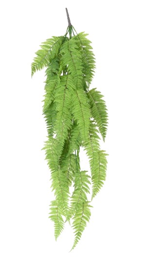 FERN CHUTE LARGE 123