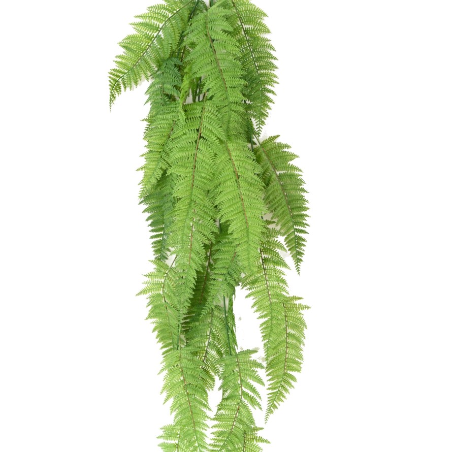 FERN CHUTE LARGE 123