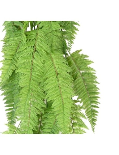 FERN CHUTE LARGE 123