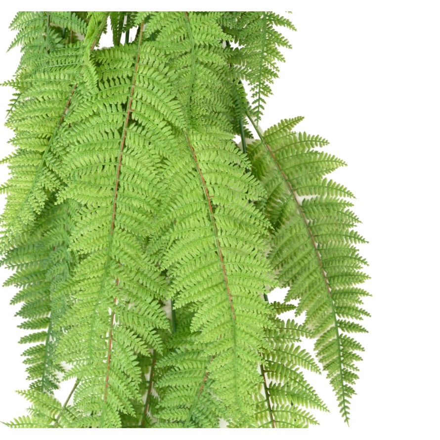 FERN CHUTE LARGE 123