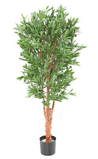 OLIVE TREE KNOTTY TRUNK PLAST UV