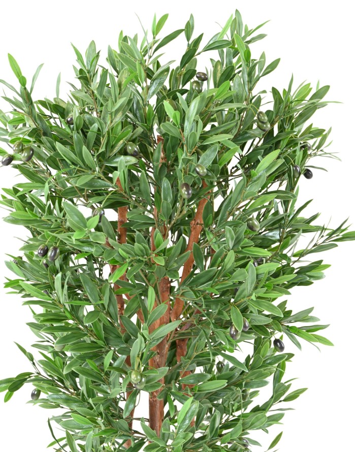 OLIVE TREE KNOTTY TRUNK PLAST UV